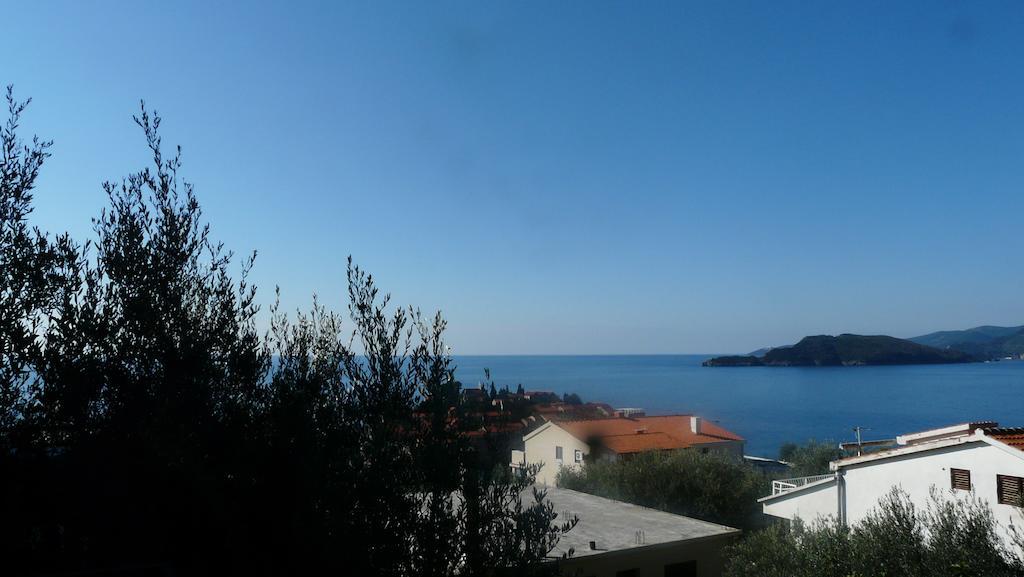 Guest House Zivkovic Sveti Stefan Exterior photo